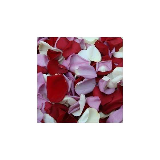 Mix petale de trandafiri