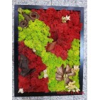 Tablou cu licheni " Red and Green"