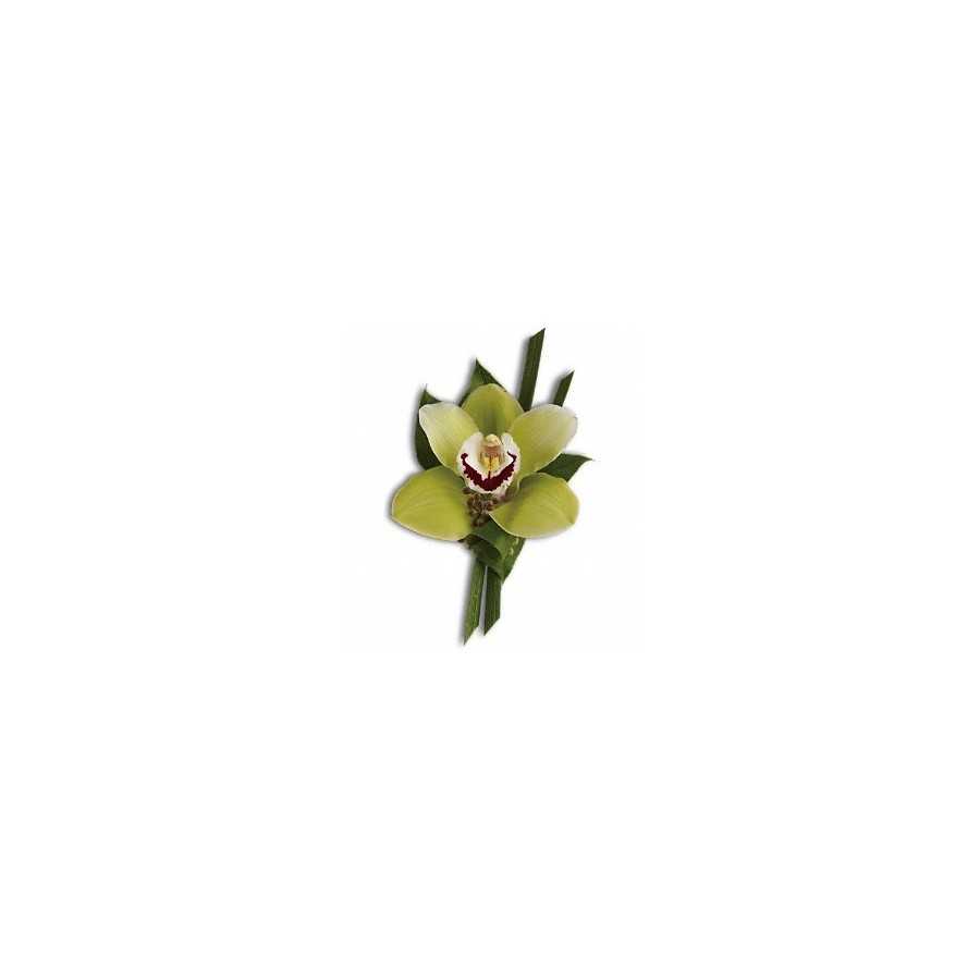 Cocarda din orhidee imperiala