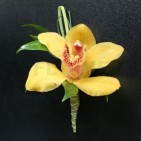 Cocarda din orhidee imperiala