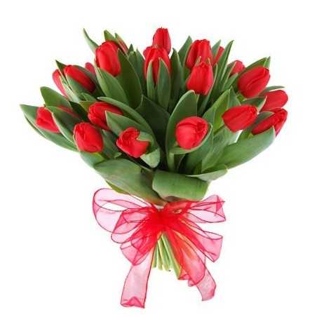 Buchet "Red Tulip"