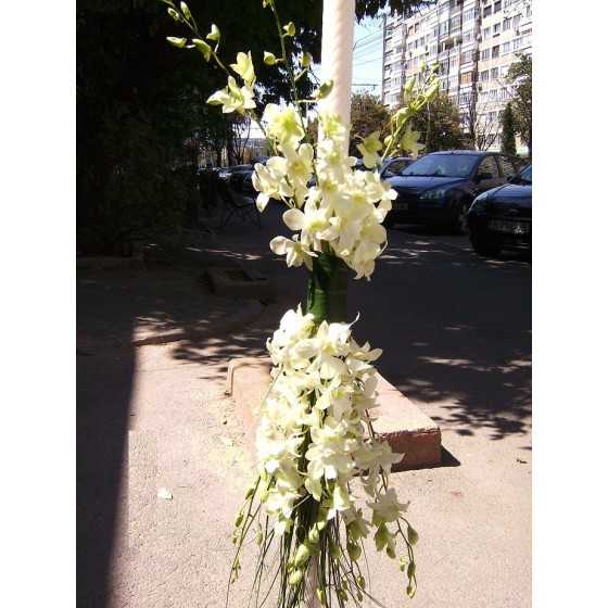 Lumanari de nunta curgatoare orhidee Dendrobium