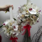 Lumanari nunta orhidee Phalaenopsis