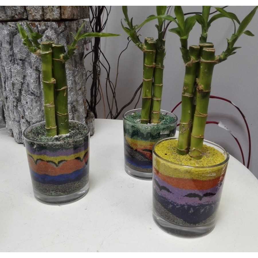 Aranjamente hand-made bambus