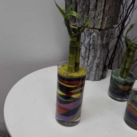 Aranjament colorat bambus