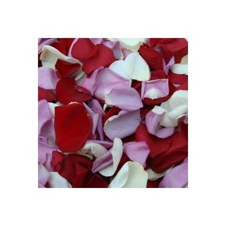 Mix petale de trandafiri