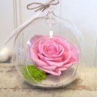 Terariu cu trandafir roz criogenat
