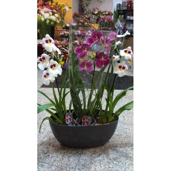 Aranjament floral Phalaenopsis