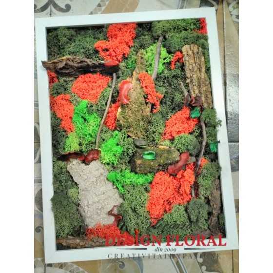 Tablou cu licheni " Autumn"