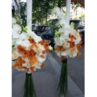 Lumanari nunta Phalaenopsis si Hortensie