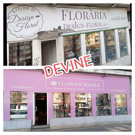 Floraria Design Floral devine Flower Mania
